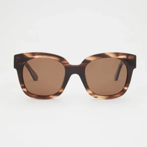 Chloe Dark Brown Sunglasses
