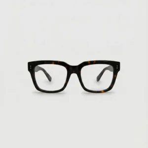 Noel Turtle Brown Blue Light